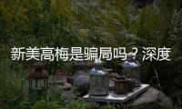新美高梅是骗局吗？深度解析其信誉与玩家真实体验