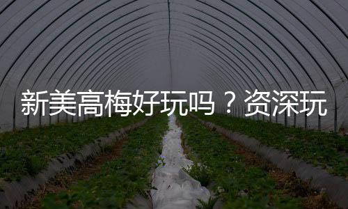 新美高梅好玩吗？资深玩家带你揭秘真实体验与赢钱技巧