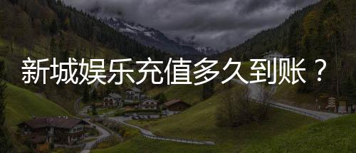 新城娱乐充值多久到账？到账时间及常见问题解析