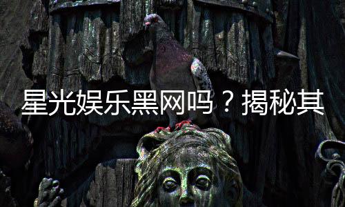 星光娱乐黑网吗？揭秘其真伪与安全玩法指南
