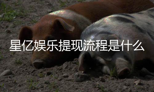 星亿娱乐提现流程是什么？手把手教你快速到账技巧