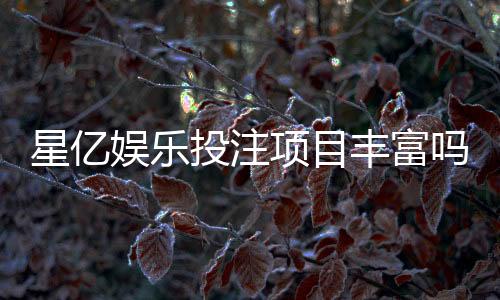 星亿娱乐投注项目丰富吗?深度解析其多元游戏与特色玩法