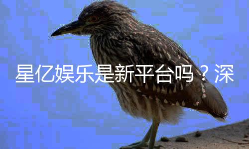 星亿娱乐是新平台吗？深度解析其背景与游戏体验