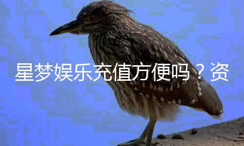 星梦娱乐充值方便吗？资深玩家实测充值流程与到账速度