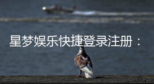 星梦娱乐快捷登录注册：轻松三步完成账号注册畅玩全站