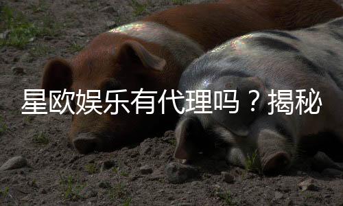 星欧娱乐有代理吗?揭秘代理加盟条件与流程