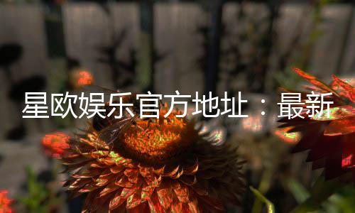 星欧娱乐官方地址：最新官网入口及安全登录指南