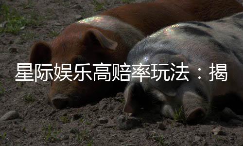 星际娱乐高赔率玩法：揭秘高回报的实战技巧与策略