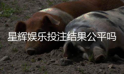 星辉娱乐投注结果公平吗？深度解析平台公正性与玩家实测反馈