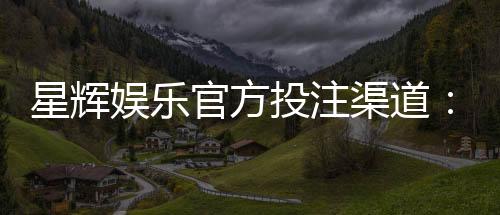 星辉娱乐官方投注渠道：安全可靠的一站式游戏平台