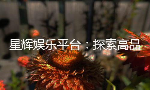 星辉娱乐平台：探索高品质电子游艺的终极乐园