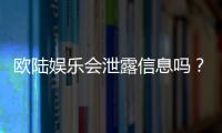 欧陆娱乐会泄露信息吗？深度解析平台安全性与隐私保护措施