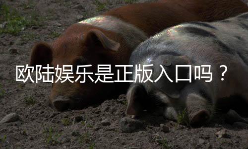 欧陆娱乐是正版入口吗？揭秘平台资质与游戏安全性
