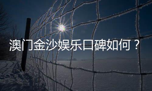 澳门金沙娱乐口碑如何？玩家真实评价与体验分享