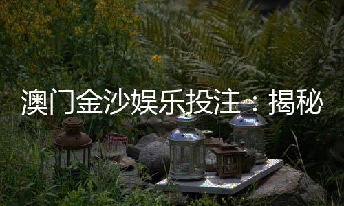 澳门金沙娱乐投注：揭秘高胜率玩家的独家投注技巧