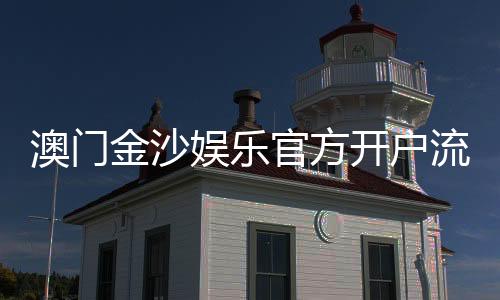 澳门金沙娱乐官方开户流程：详细步骤与注意事项解析