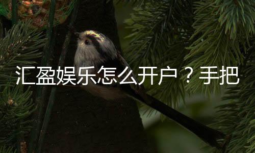 汇盈娱乐怎么开户？手把手教你快速注册流程