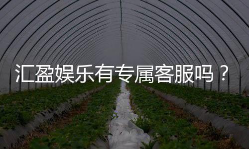 汇盈娱乐有专属客服吗？为您解答VIP服务与联系渠道