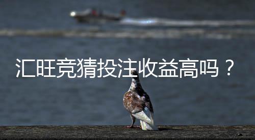 汇旺竞猜投注收益高吗？深度解析盈利模式与实战技巧