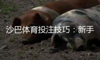 沙巴体育投注技巧：新手必学的投注技巧、资金管理与实战攻略
