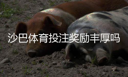 沙巴体育投注奖励丰厚吗？优惠类型、领取条件与实用领取攻略一文看懂