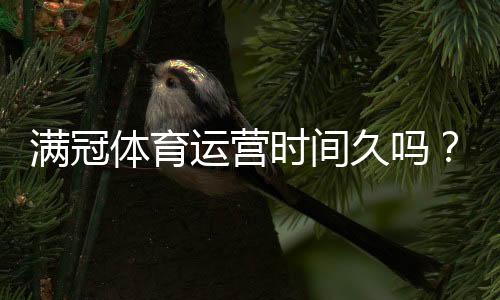 满冠体育运营时间久吗？成立时间、运营历史与安全性全解析