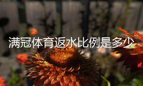 满冠体育返水比例是多少？最新返水比例、计算方法与领取攻略