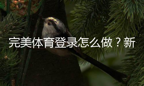 完美体育登录怎么做？新手快速注册、登录步骤与常见问题详解