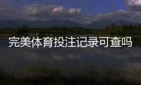 完美体育投注记录可查吗?官方查询流程与隐私安全全解析