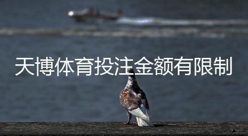 天博体育投注金额有限制吗？充值、单注与提现额度全解析