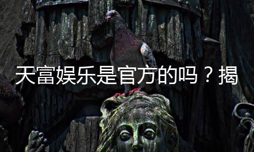 天富娱乐是官方的吗？揭秘平台背景与安全认证详情