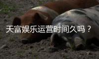 天富娱乐运营时间久吗？资深玩家解析平台历史与稳定性