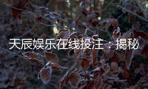 天辰娱乐在线投注：揭秘高胜率玩家的投注技巧与实战心得