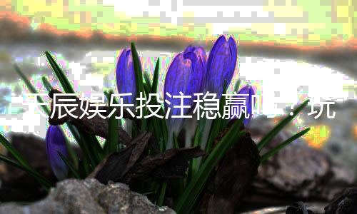 天辰娱乐投注稳赢吗？玩家实测经验分享与风险解析