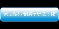 天辰娱乐高赔率玩法：揭秘稳赢技巧与独家投注策略