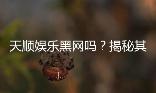 天顺娱乐黑网吗？揭秘其真伪与玩家安全指南