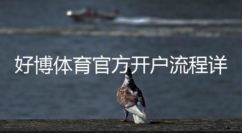 好博体育官方开户流程详解：新手注册、实名认证与首存完整步骤与注意事项