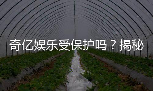 奇亿娱乐受保护吗？揭秘平台安全性与玩家保障措施