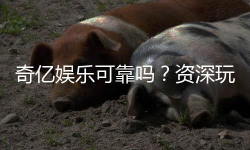 奇亿娱乐可靠吗？资深玩家揭秘平台真实体验与安全性