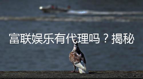 富联娱乐有代理吗？揭秘代理加盟条件与流程