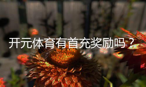 开元体育有首充奖励吗？新人注册充值福利详解