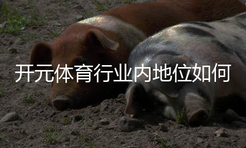 开元体育行业内地位如何？深度解析其市场影响力与竞争优势