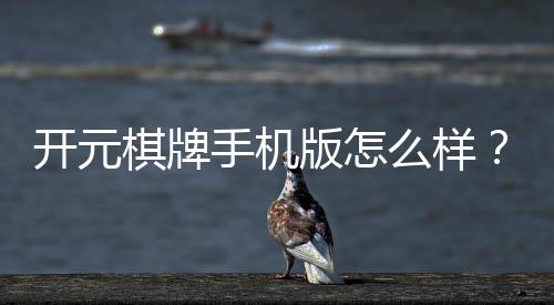开元棋牌手机版怎么样？资深玩家实测体验与技巧分享