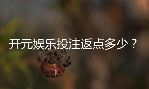 开元娱乐投注返点多少？揭秘高返点活动与实战技巧