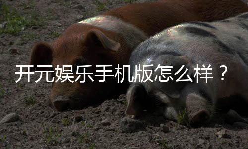 开元娱乐手机版怎么样？资深玩家带你全面评测体验