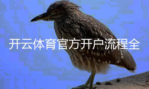 开云体育官方开户流程全攻略：新手注册、实名认证、充值与安全注意事项详解
