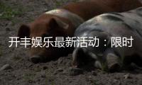 开丰娱乐最新活动：限时优惠与惊喜礼包等你来拿