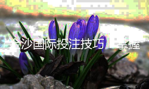 金沙国际投注技巧:掌握这5招轻松提升胜率