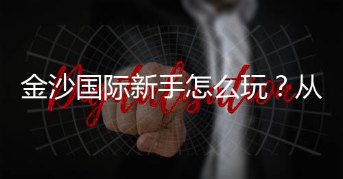 金沙国际新手怎么玩？从注册到赢钱的完整入门指南