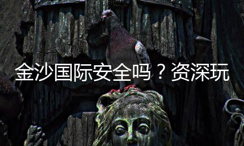 金沙国际安全吗？资深玩家解析平台可靠性与游戏体验